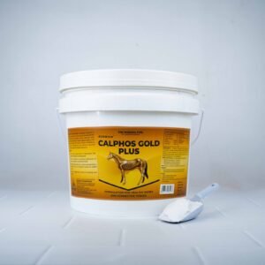 BEKWICK CALPHOS GOLD