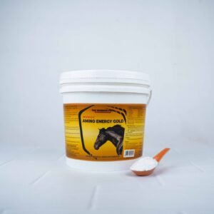 BEKWICK AMINO ENERGY GOLD