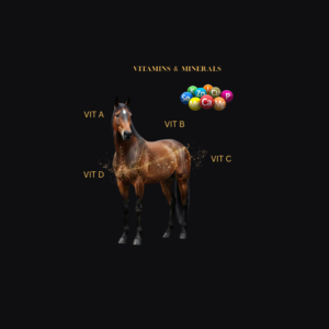 Vitamin and Minerals