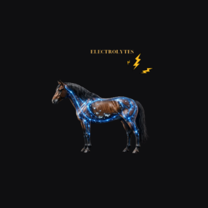 Energy and Electrolytes